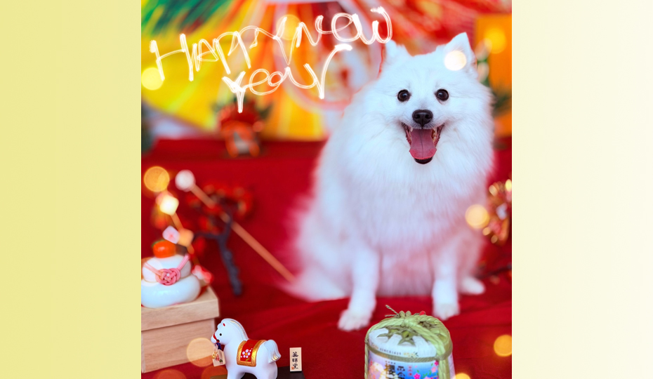 お正月フォトブース